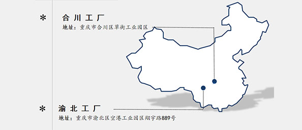 重慶pe塑（sù）料袋廠家