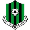 羅基察尼