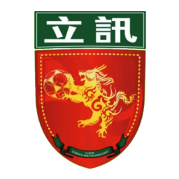 佛山維京